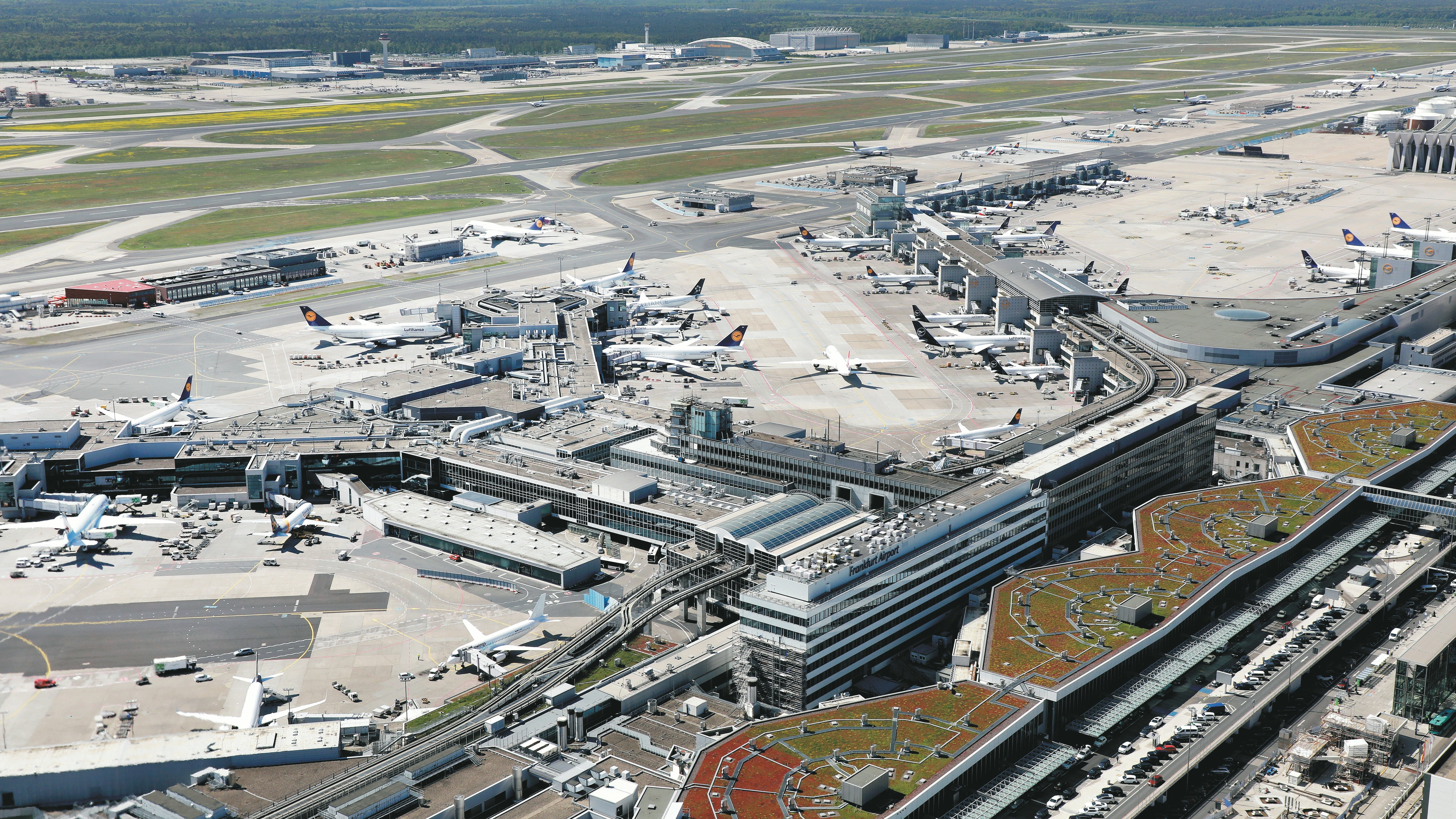 Traffic – June 2022: Passenger Numbers Continue to Rise